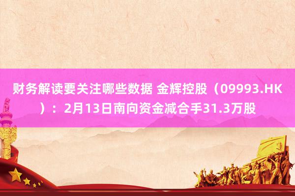 财务解读要关注哪些数据 金辉控股（09993.HK）：2月13日南向资金减合手31.3万股