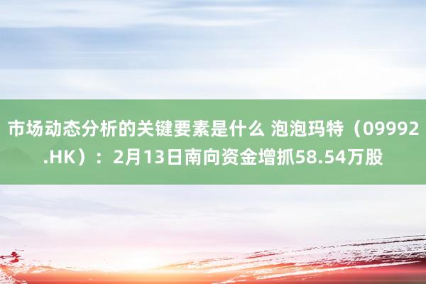 市场动态分析的关键要素是什么 泡泡玛特（09992.HK）：2月13日南向资金增抓58.54万股