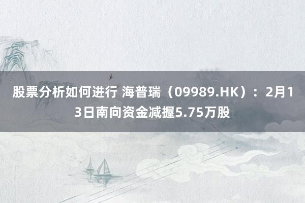 股票分析如何进行 海普瑞（09989.HK）：2月13日南向资金减握5.75万股