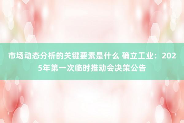 市场动态分析的关键要素是什么 确立工业：2025年第一次临时推动会决策公告