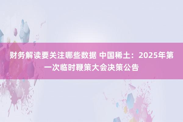 财务解读要关注哪些数据 中国稀土：2025年第一次临时鞭策大会决策公告