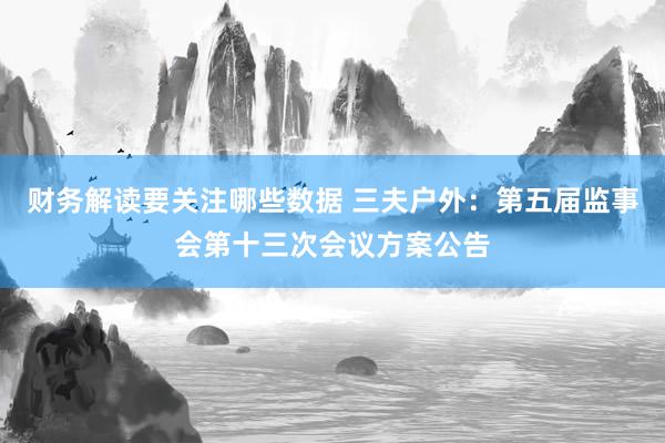 财务解读要关注哪些数据 三夫户外：第五届监事会第十三次会议方案公告