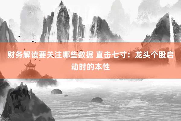 财务解读要关注哪些数据 直击七寸：龙头个股启动时的本性