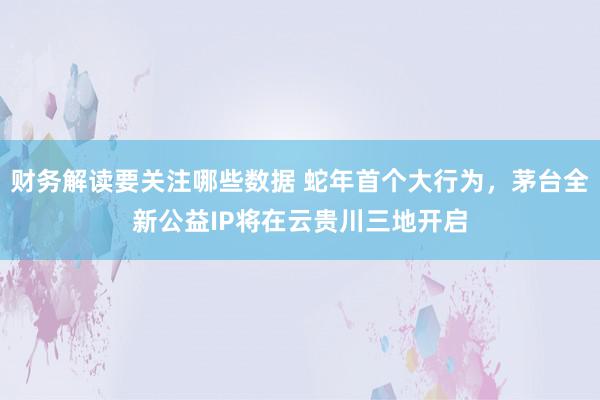 财务解读要关注哪些数据 蛇年首个大行为，茅台全新公益IP将在云贵川三地开启