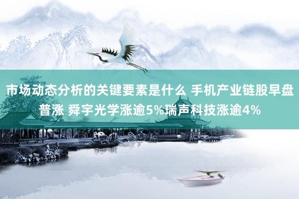 市场动态分析的关键要素是什么 手机产业链股早盘普涨 舜宇光学涨逾5%瑞声科技涨逾4%