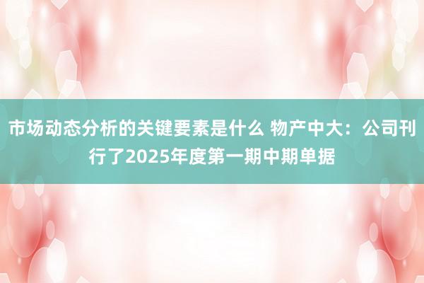 市场动态分析的关键要素是什么 物产中大：公司刊行了2025年度第一期中期单据