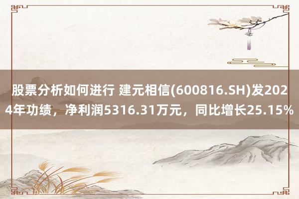 股票分析如何进行 建元相信(600816.SH)发2024年功绩，净利润5316.31万元，同比增长25.15%