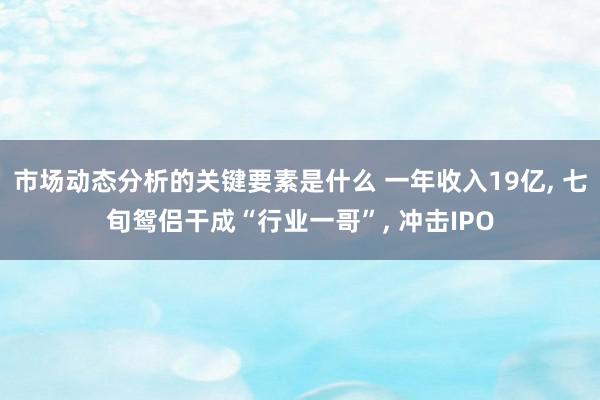 市场动态分析的关键要素是什么 一年收入19亿, 七旬鸳侣干成“行业一哥”, 冲击IPO