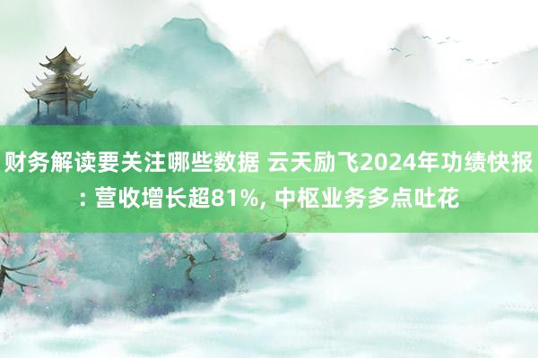 财务解读要关注哪些数据 云天励飞2024年功绩快报: 营收增长超81%, 中枢业务多点吐花