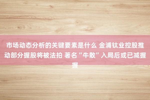 市场动态分析的关键要素是什么 金浦钛业控股推动部分握股将被法拍 著名“牛散”入局后或已减握