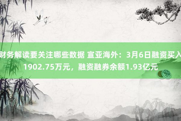 财务解读要关注哪些数据 宣亚海外：3月6日融资买入1902.75万元，融资融券余额1.93亿元