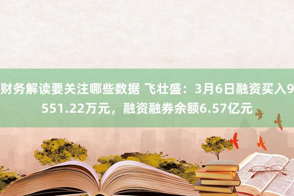 财务解读要关注哪些数据 飞壮盛：3月6日融资买入9551.22万元，融资融券余额6.57亿元