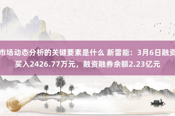 市场动态分析的关键要素是什么 新雷能：3月6日融资买入2426.77万元，融资融券余额2.23亿元