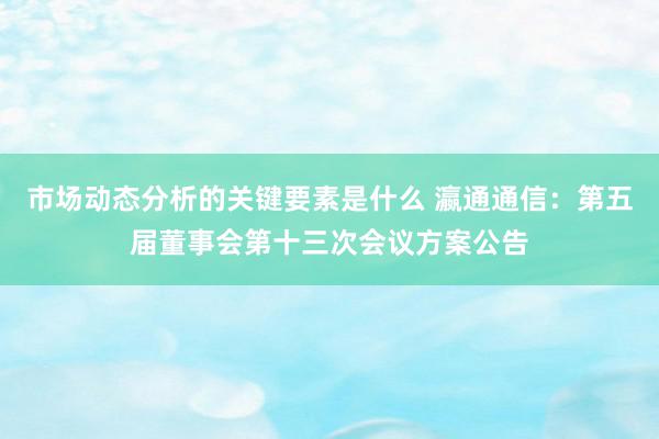 市场动态分析的关键要素是什么 瀛通通信：第五届董事会第十三次会议方案公告