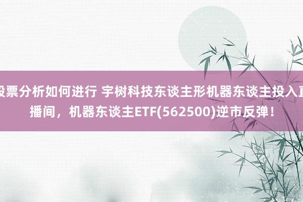 股票分析如何进行 宇树科技东谈主形机器东谈主投入直播间，机器东谈主ETF(562500)逆市反弹！