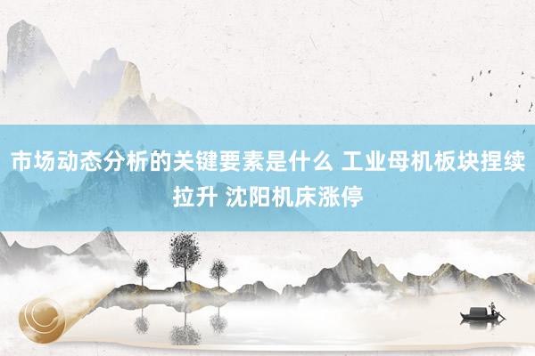 市场动态分析的关键要素是什么 工业母机板块捏续拉升 沈阳机床涨停