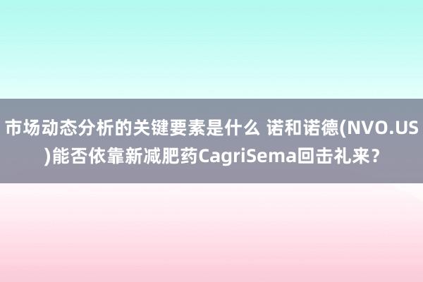 市场动态分析的关键要素是什么 诺和诺德(NVO.US)能否依靠新减肥药CagriSema回击礼来？